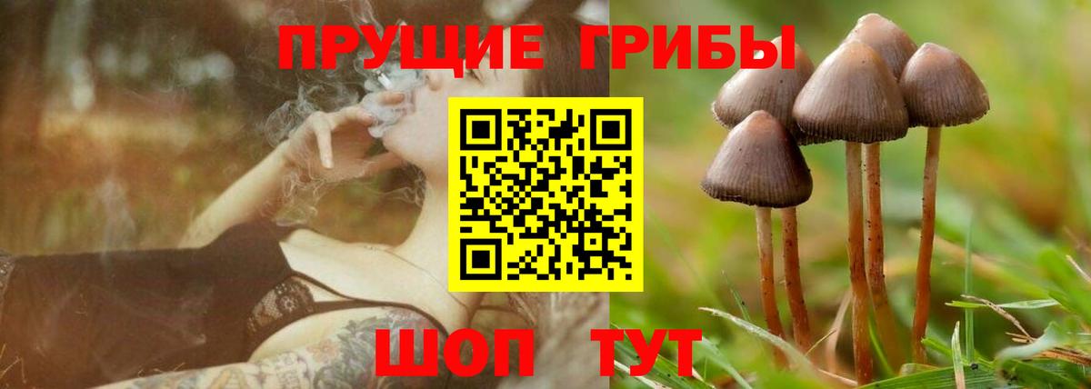Галлюциногенные грибы Cubensis  Вход с VPN  Можайск 